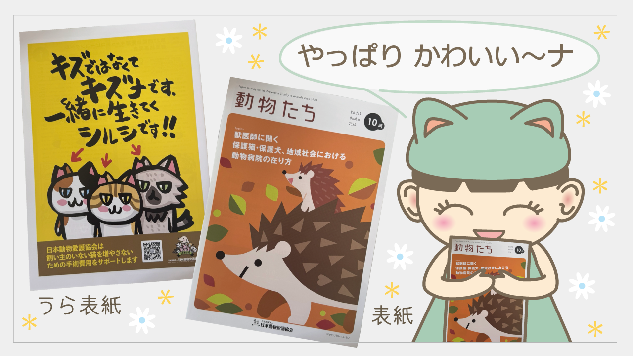 日本動物愛護協会さんの広報誌10月号